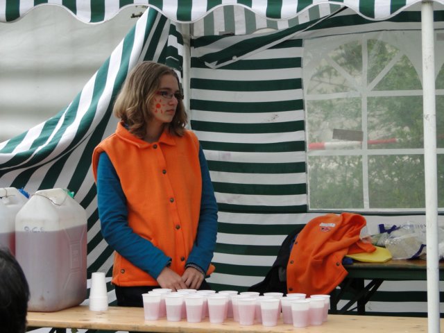 Koninginnedag 2010 187.jpg